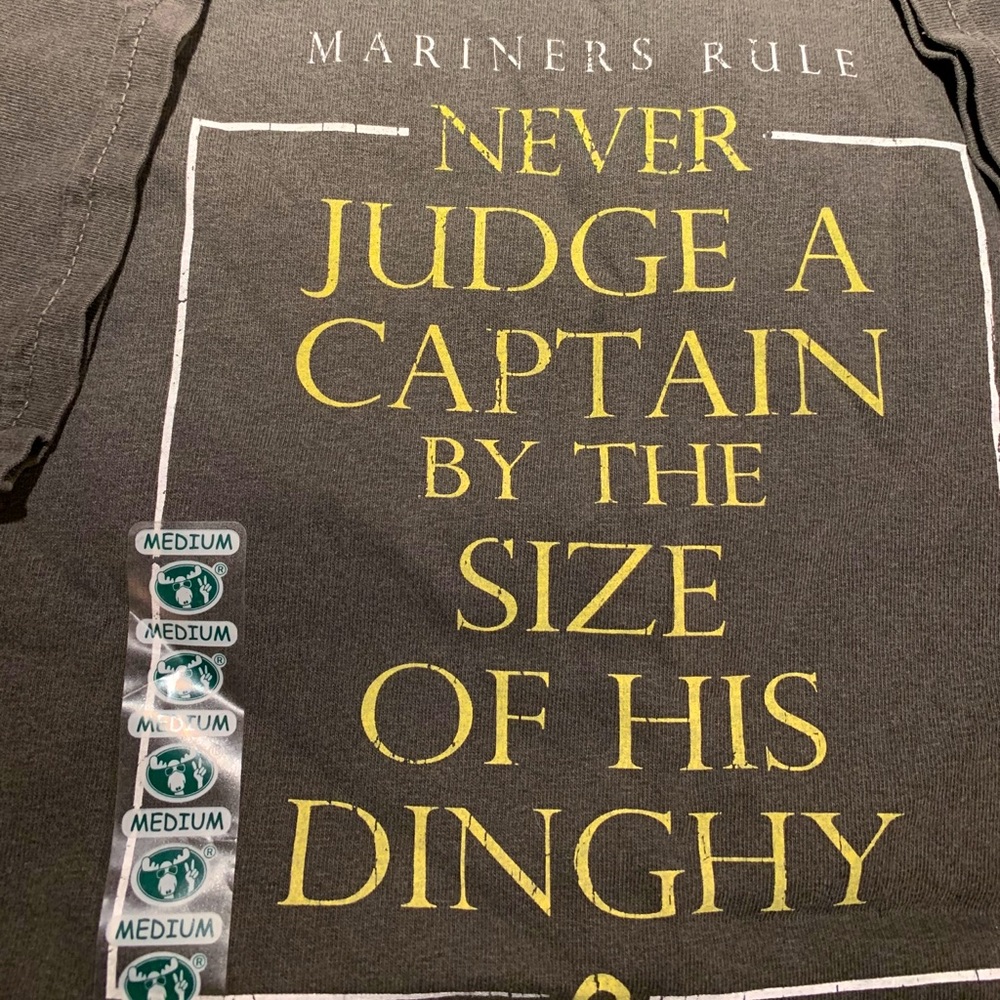 NWT t-shirts Medium (lot of 2)